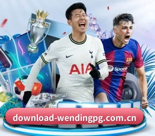 www.download-wendingpg.com.cn APP 界面
