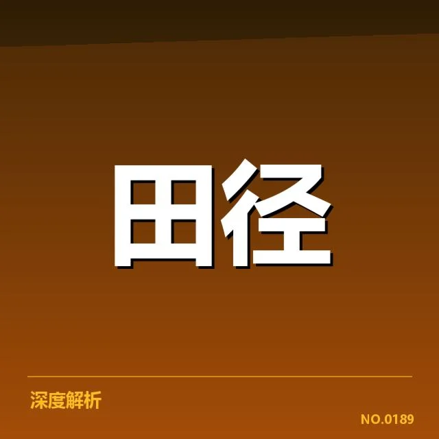 队员表现与战术执行情况